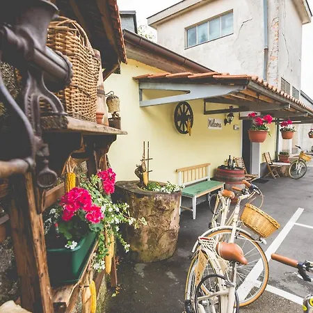 Slovenian House Vida ليوبليانا