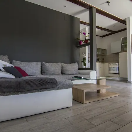 فندق مبيت وإفطار Slovenian House Vida ليوبليانا