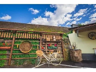 Slovenian House Vida לינה וארוחת בוקר 3*